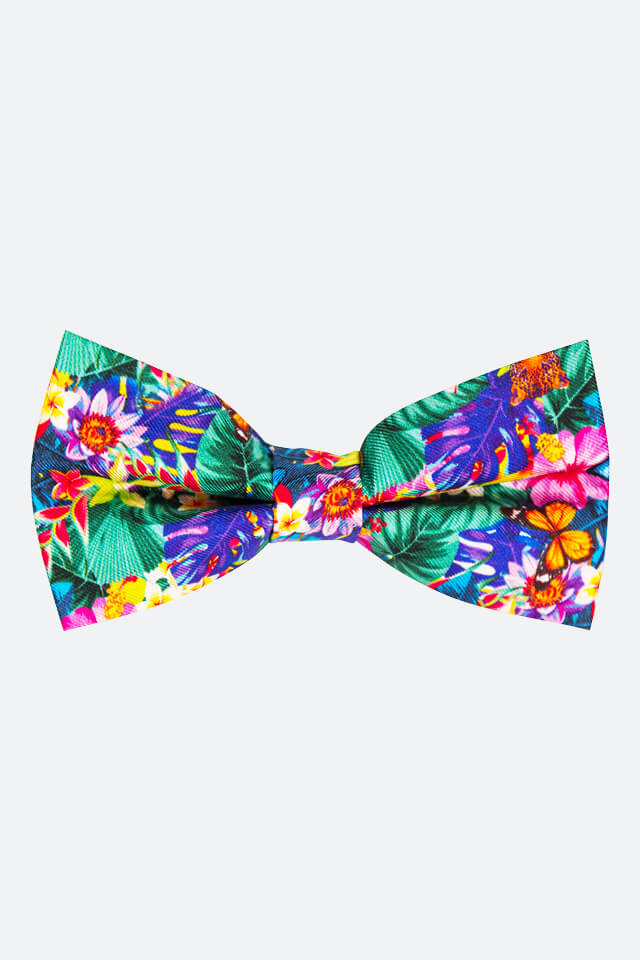 Fliegen Aloha